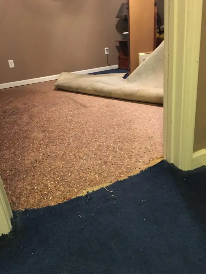 Carpet pad removal revealing water damage during Drying & Dehumidification in Swoyersville